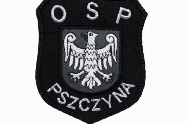 Pszczyńscy strażacy oddali hołd poległym w Nisku