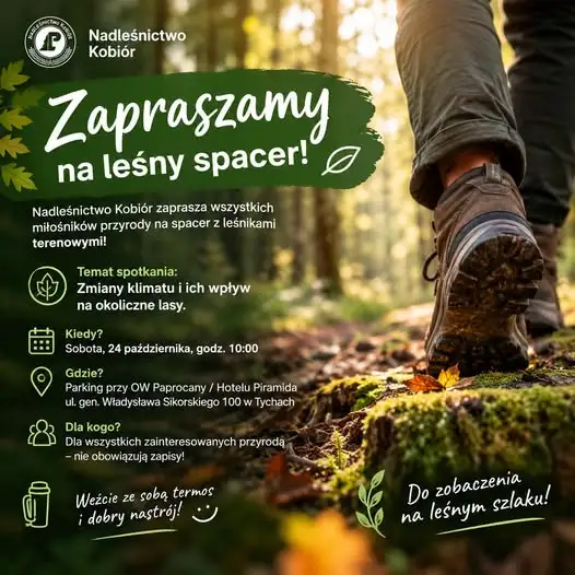 Leśny spacer z leśnikami w Kobiórze – 24 października